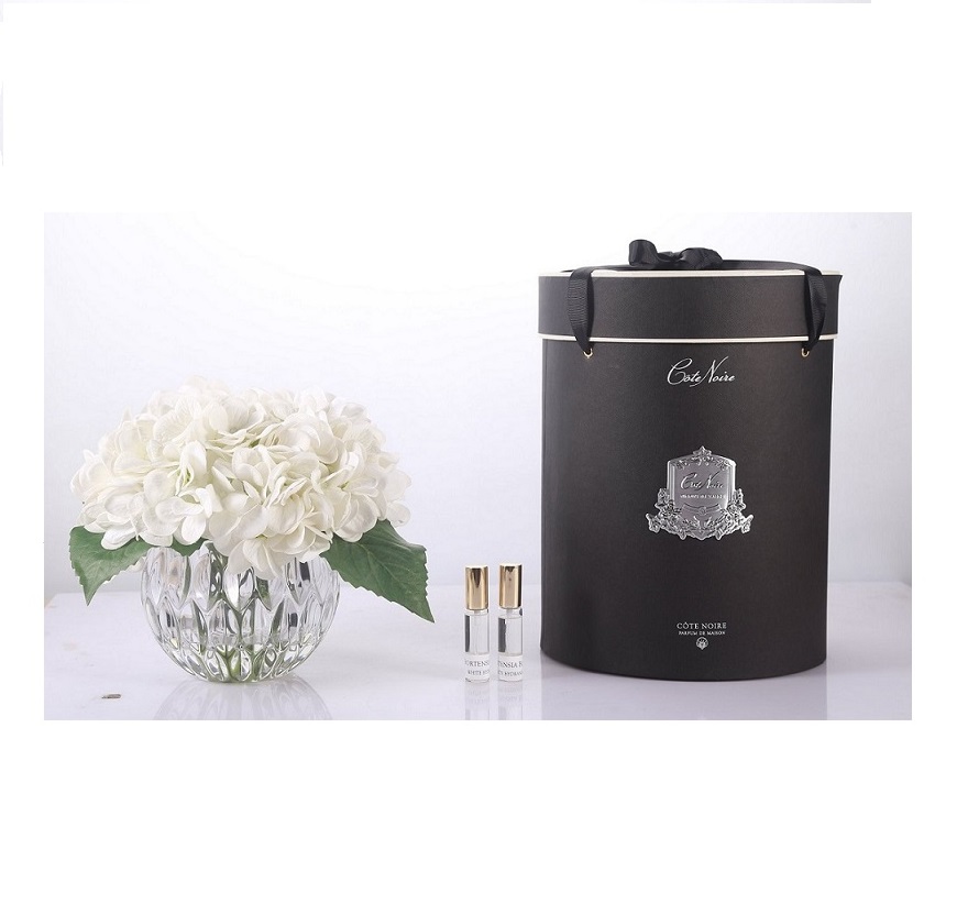 Luxusná rada parfémovaných hortenzií - Ivory